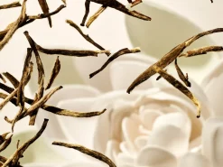 Body Lotion Mousse|Rituals Fashion
