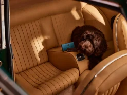 Car Air Freshener|Rituals New