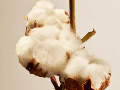 Cotton Blossom Home Perfume|Rituals Flash Sale
