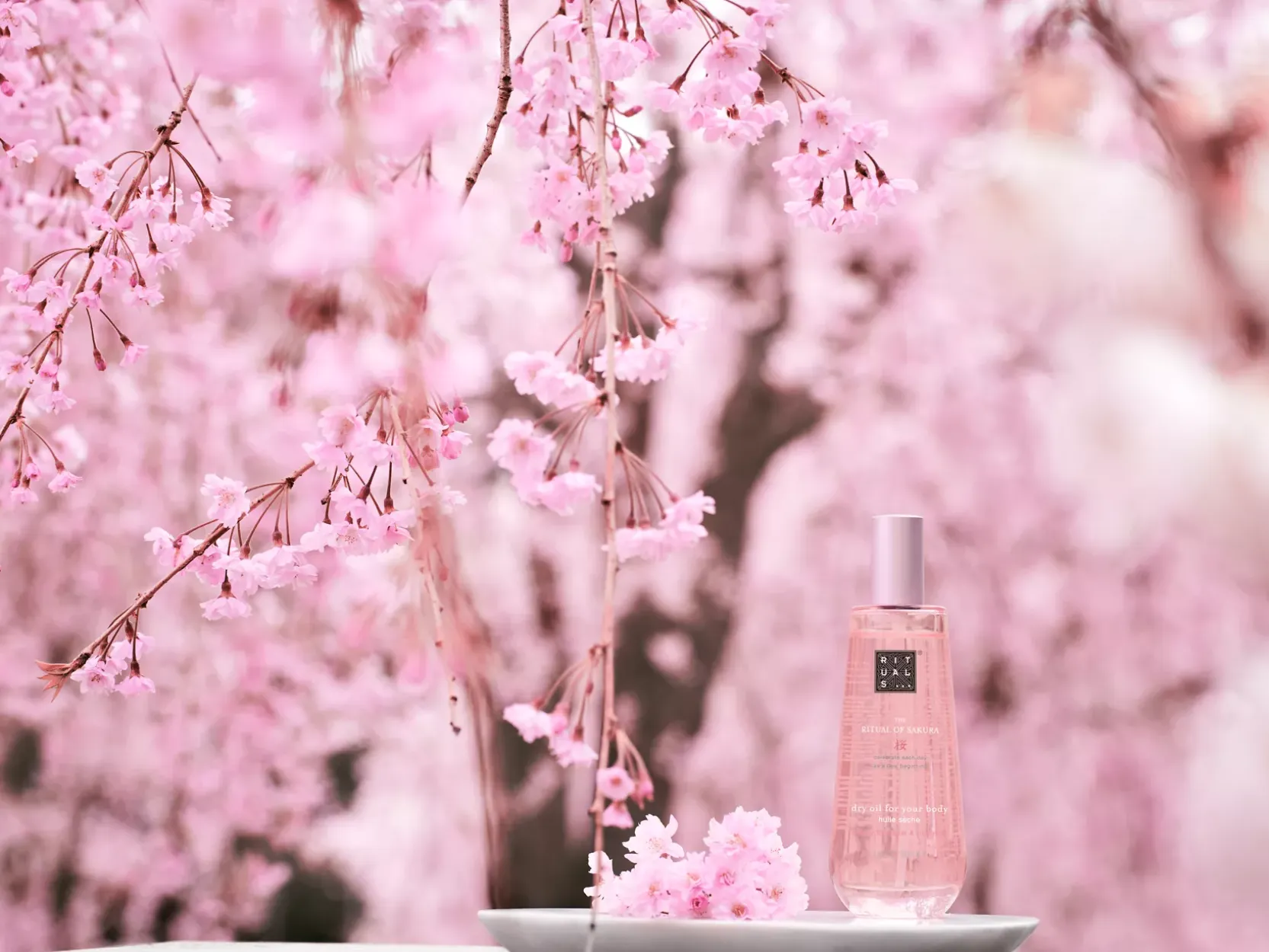 Dry Body Oil|Rituals Sale