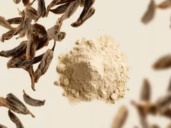Mild Body Scrub|Rituals Store