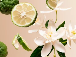 Positivity Refill Fragrance Sticks|Rituals Clearance