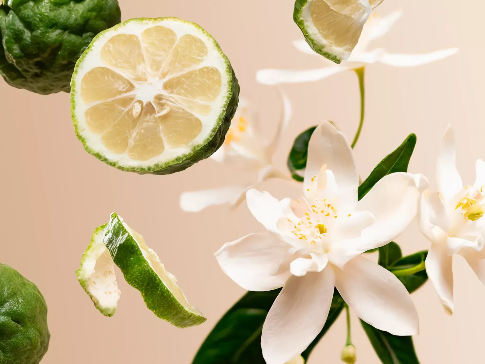 Positivity Refill Fragrance Sticks|Rituals Clearance