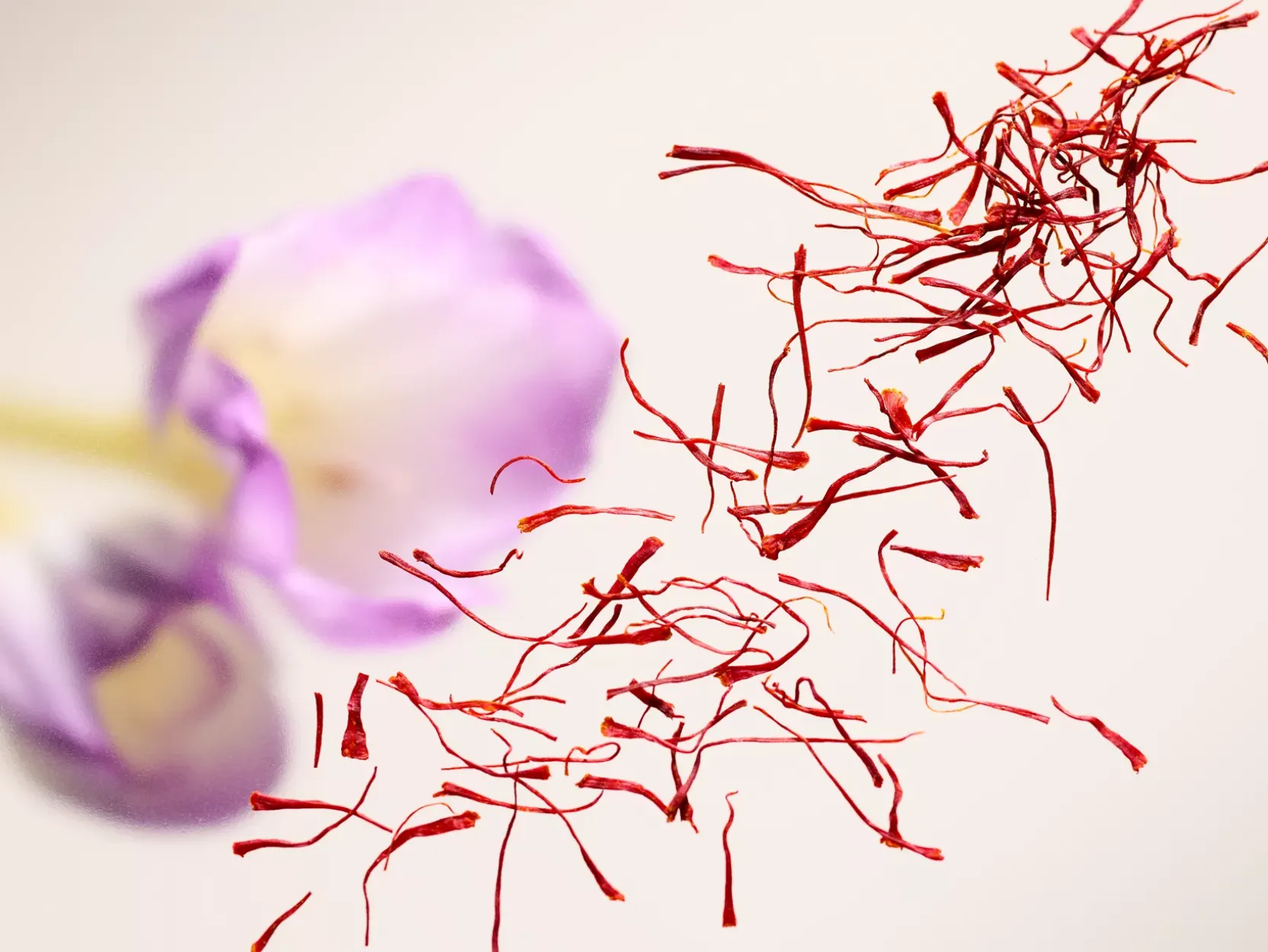 Remembrance Candle|Rituals Fashion
