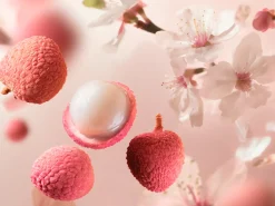 Rêve de Hanami|Rituals Best Sale