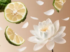Soleil d'Or|Rituals Cheap